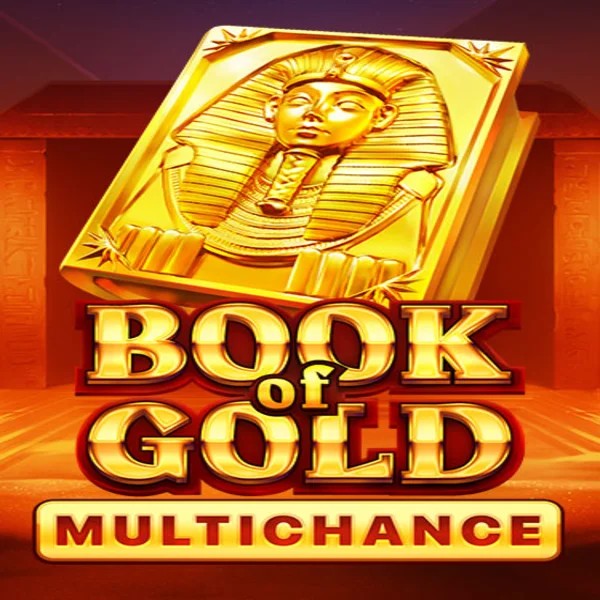 Play the Book of Gold Multichance slot by Playson on Spinorhino Casino