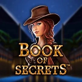 Play Book of Secrets slot by SYNOT Games on spinorhinoo.com