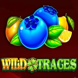 Wild Traces online game logo by Amusnet Interactive on spinorhinoo.com